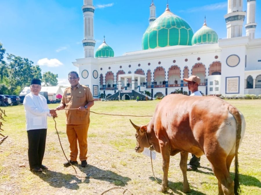 Idul Adha 2026 Jadi Momentum Kebersamaan, Pemkab Rohul Salurkan 81 Sapi dan 2 Kambing Qurban