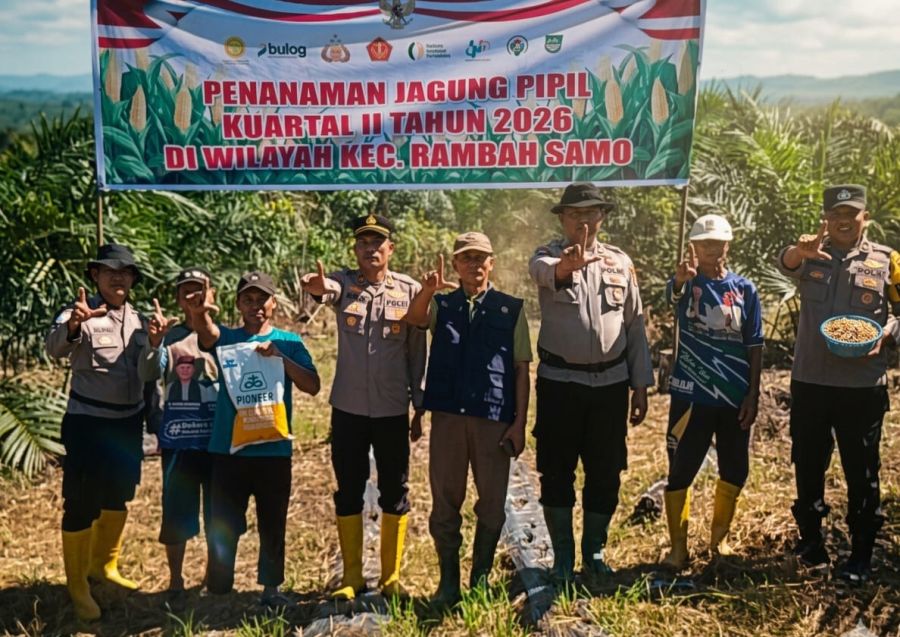 Ketahanan Pangan Jadi Prioritas, Polsek Rambah Samo Turun Langsung ke Lahan Pertanian