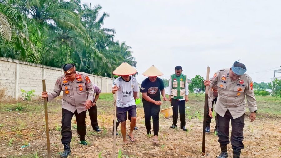 Tak Hanya Jaga Kamtibmas, Polsek Ujung Batu Ikut Sukseskan Program Ketahanan Pangan Nasional