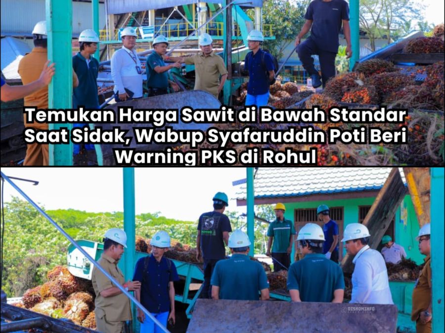 Temukan Harga Sawit di Bawah Standar Saat Sidak, Wabup Syafaruddin Poti Beri Warning PKS di Rohul
