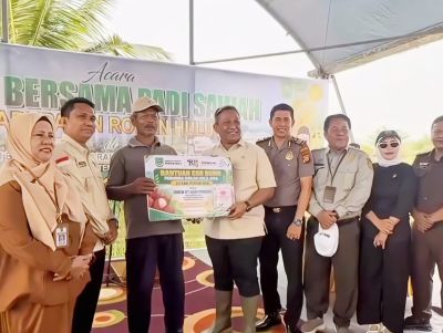 produktivitas-padi-rohul-melonjak-rambah-baru-dibidik-jadi-sentra-agrowisata